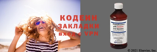 шишки Балахна